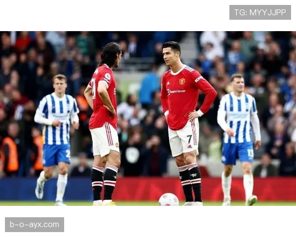 布莱顿阵容深度解析：新赛季竞争力跃升的关键因素引关注