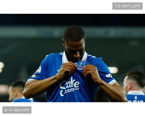 埃弗顿冬窗引援能否激活蓝军?新援成色决定英超竞争力提升关键 埃弗顿冬窗引援能否激活蓝军?新援成色决定英超竞争力提升关键